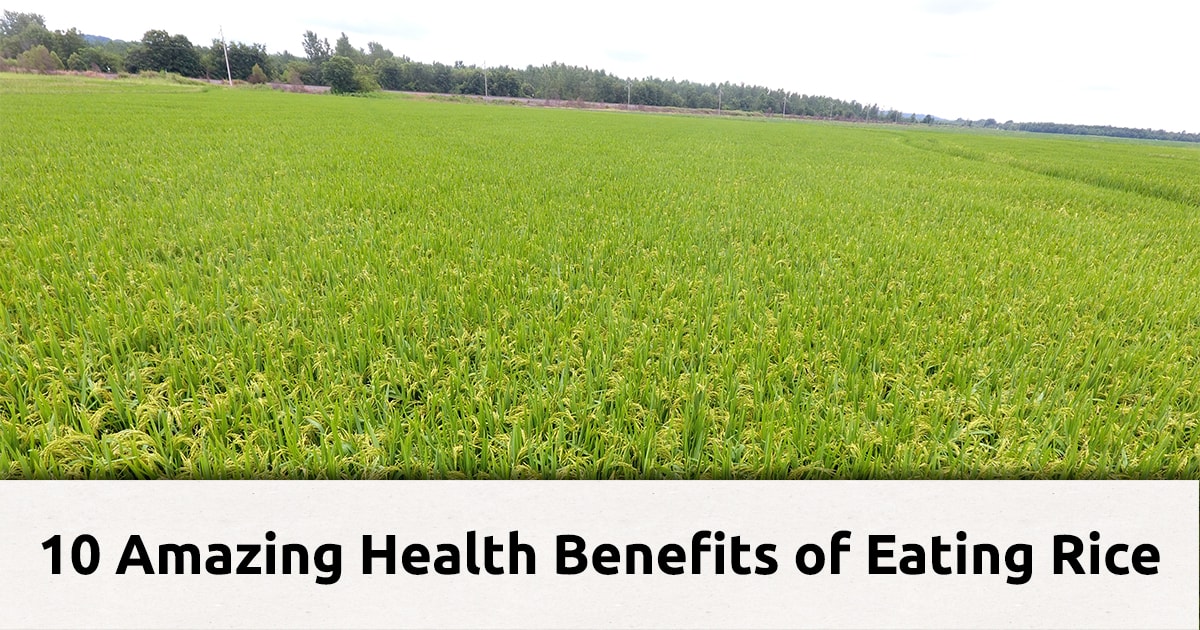 Is Rice Good for You? 10 Amazing Health Benefits of Eating Rice