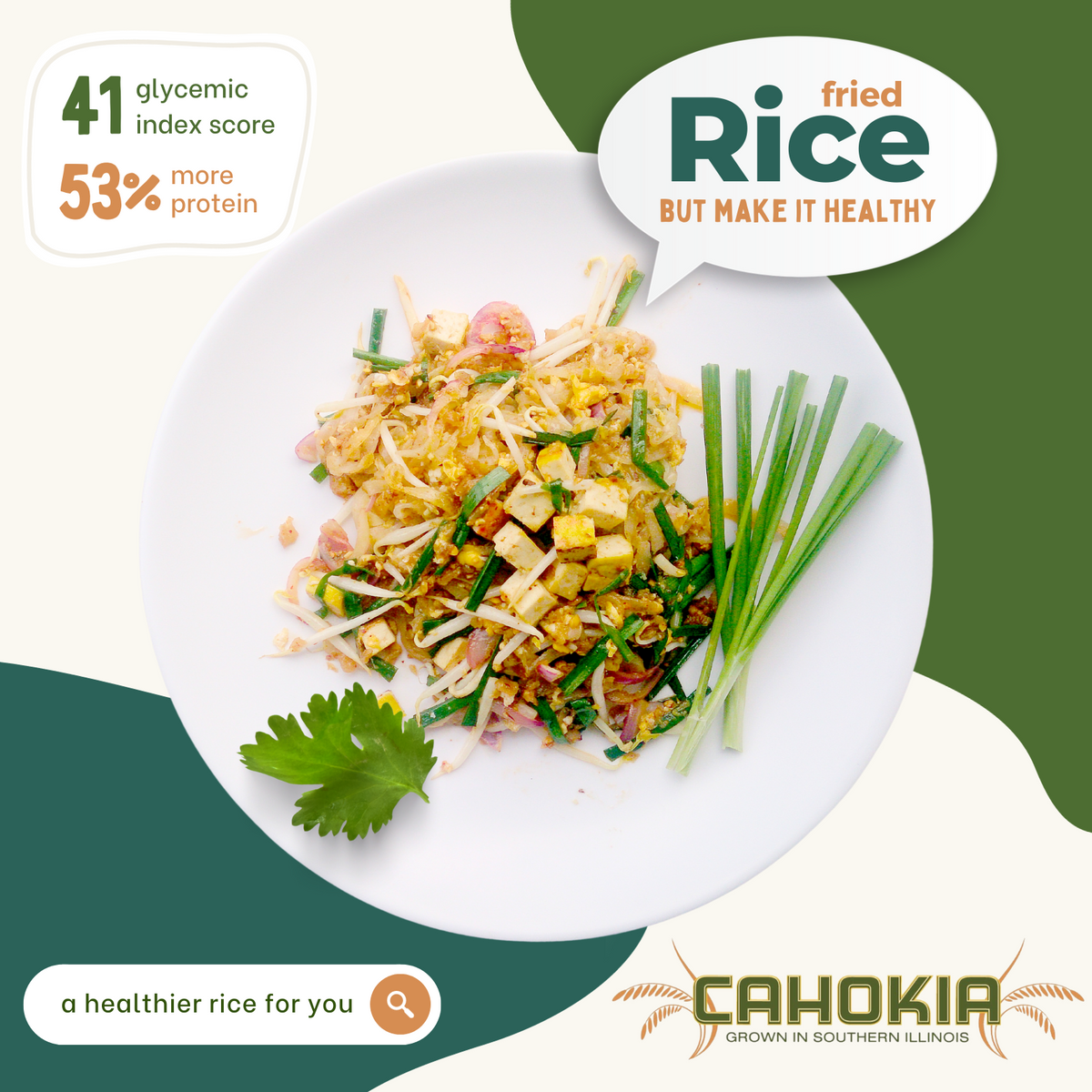Tofu & Cabbage Fried Rice for the Whole Family – Cahokia Rice